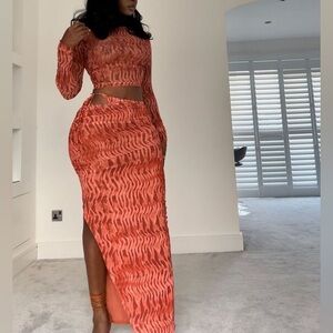 Zara Printed Tulle Top and Skirt Set